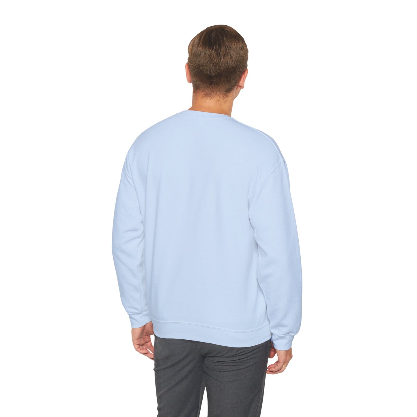 Paramora Basic Crewneck Sweatshirt