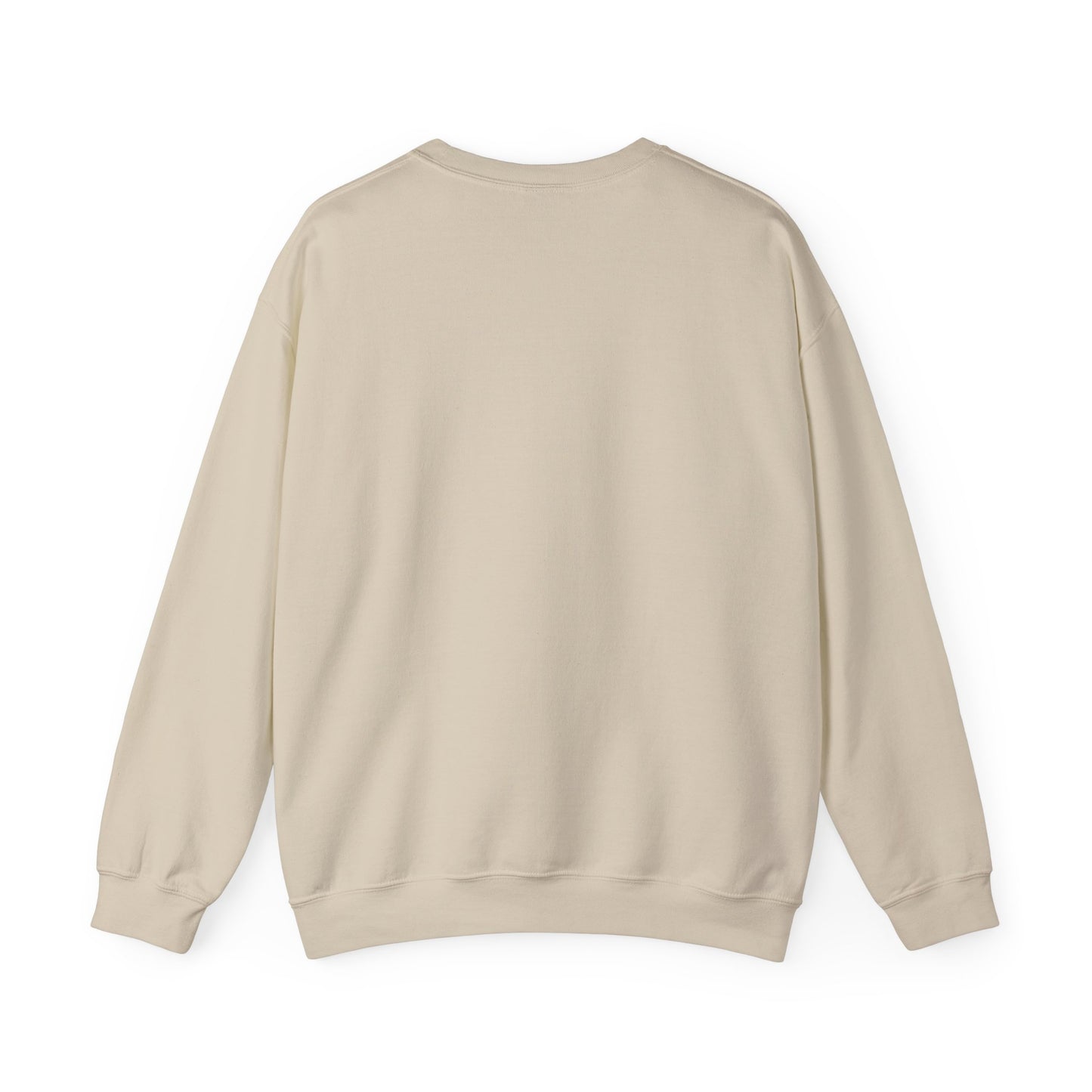 Paramora Basic Crewneck Sweatshirt