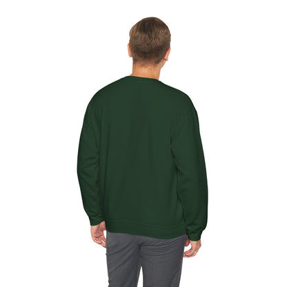 Paramora Basic Crewneck Sweatshirt