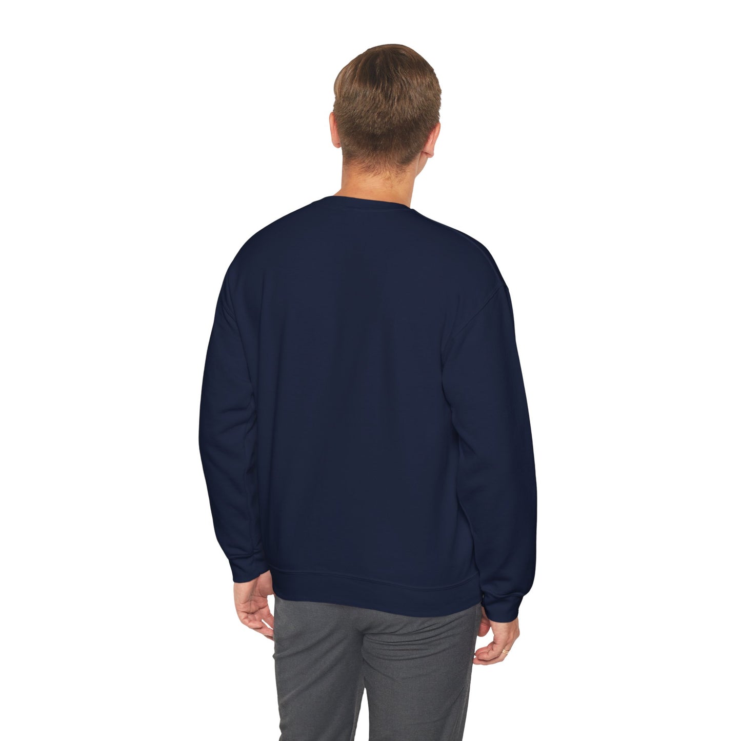 Paramora Basic Crewneck Sweatshirt