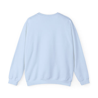 Paramora Basic Crewneck Sweatshirt