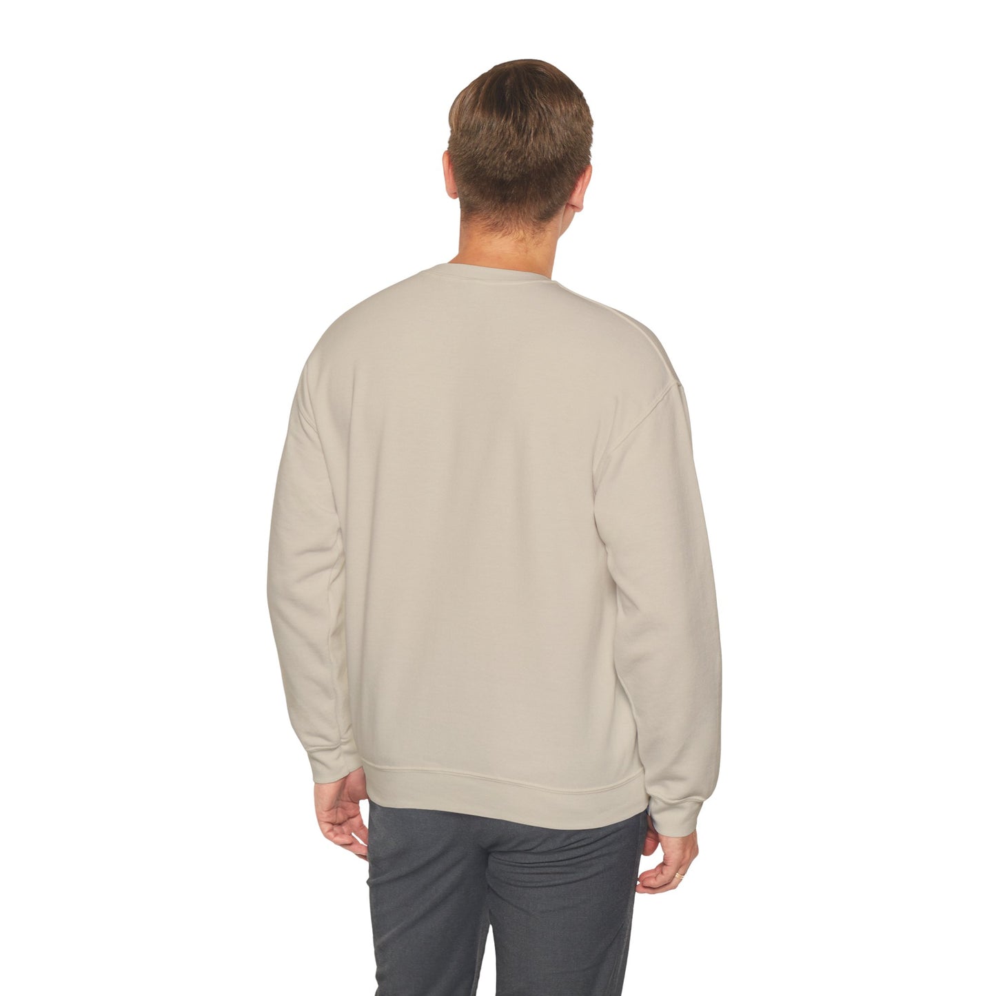 Paramora Basic Crewneck Sweatshirt