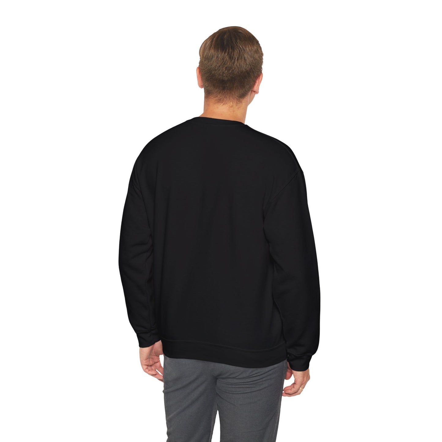 Paramora Basic Crewneck Sweatshirt