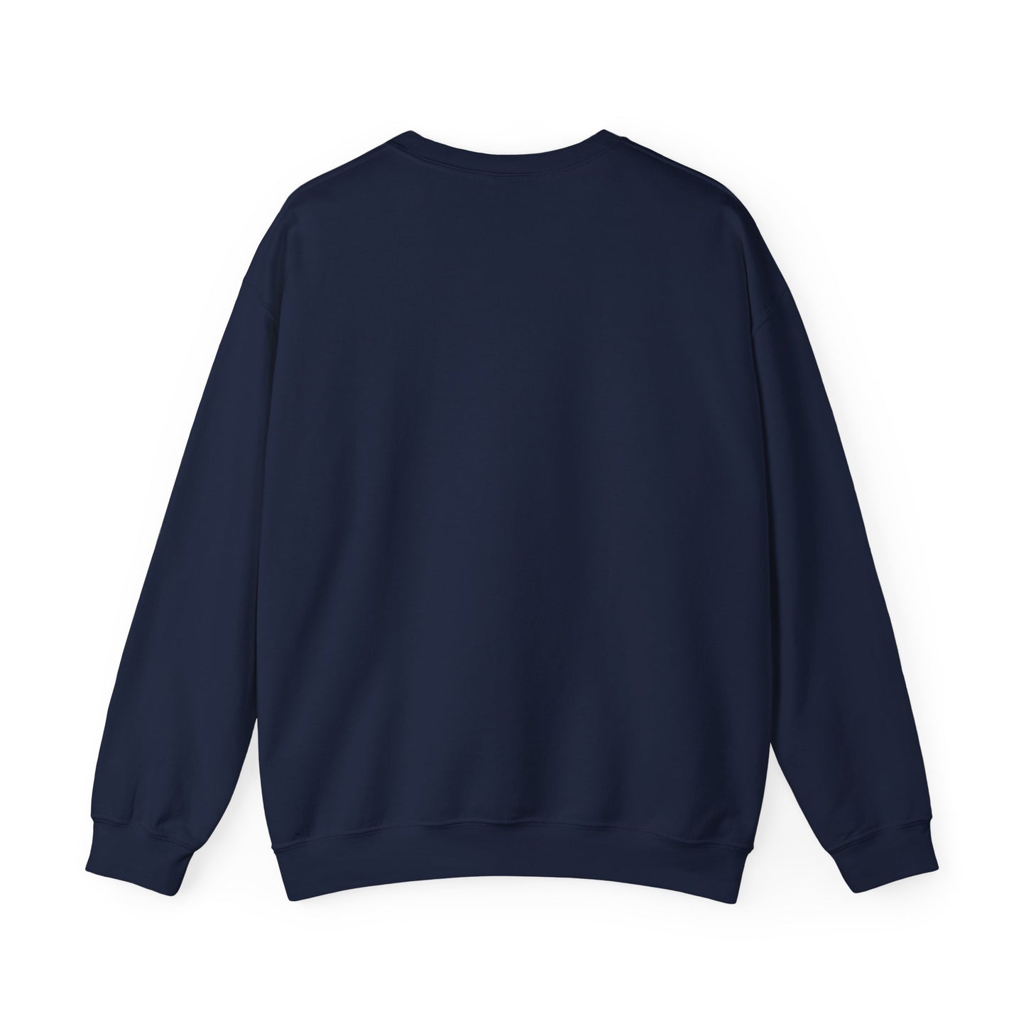 Paramora Basic Crewneck Sweatshirt