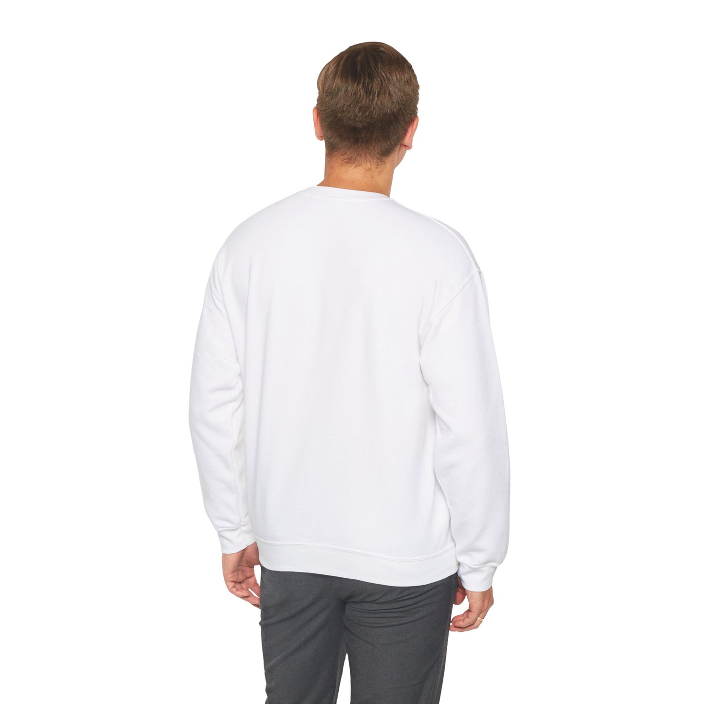 Paramora Basic Crewneck Sweatshirt